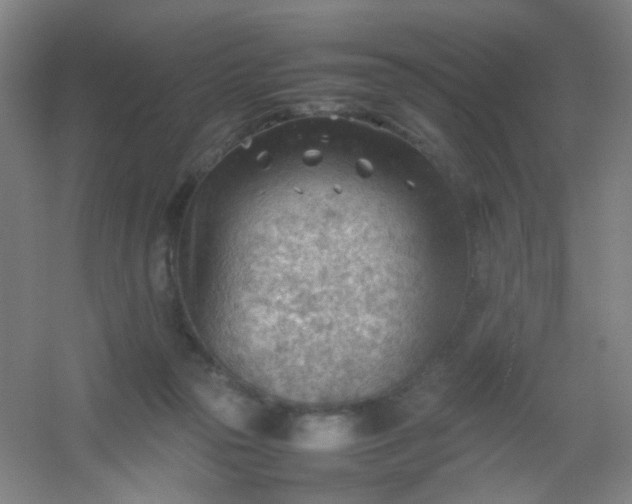 X0000054430169200508121828