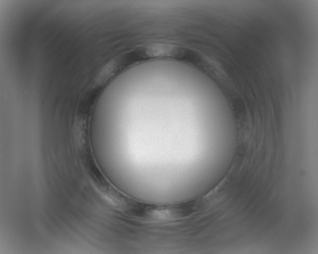 X0000054430171200508121828