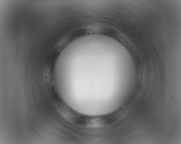 X0000054430173200508121828