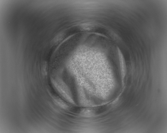 X0000054430174200508121828