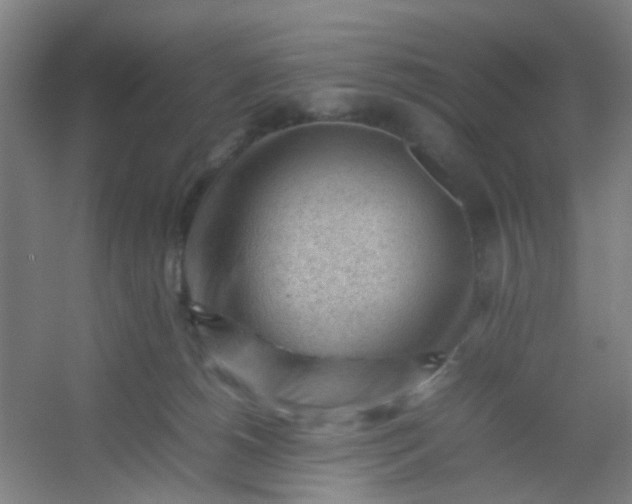 X0000054430180200508121828