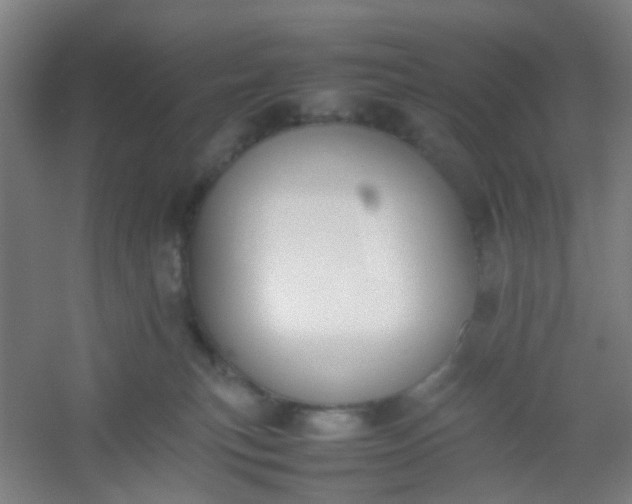 X0000054430183200508121828