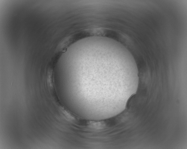 X0000054430185200508121828