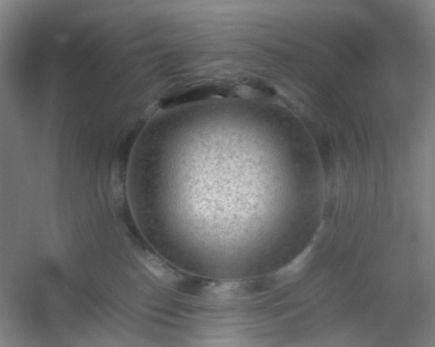 X0000054430186200508121828