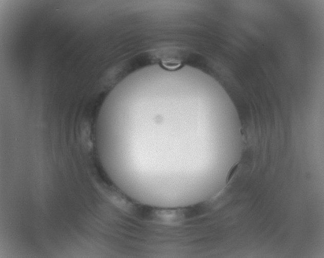 X0000054430187200508121828