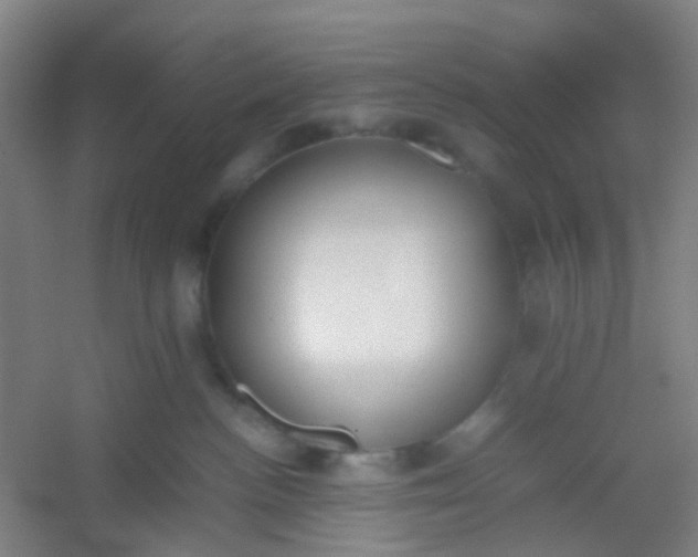 X0000054430188200508121828