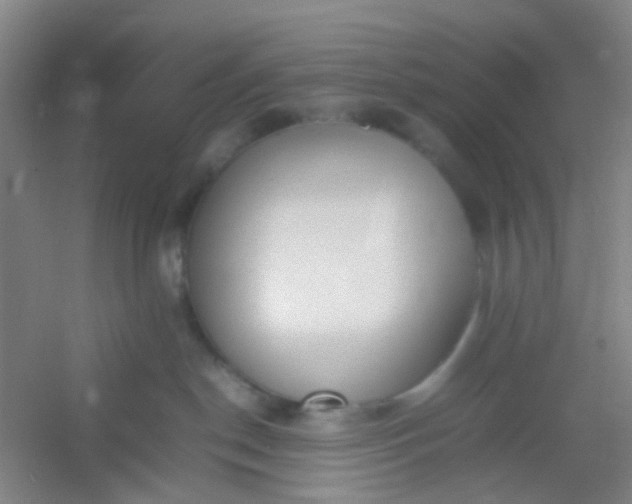 X0000054430190200508121828