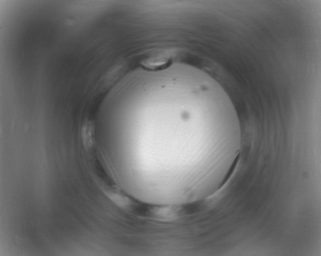 X0000054430191200508121828