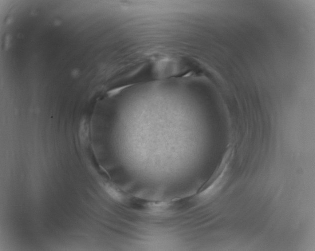 X0000054430192200508121828