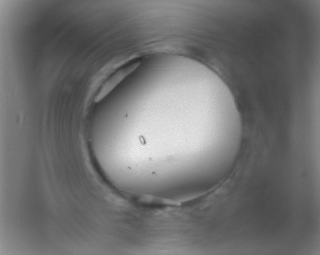 X0000054430193200508121827