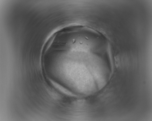 X0000054430196200508121827