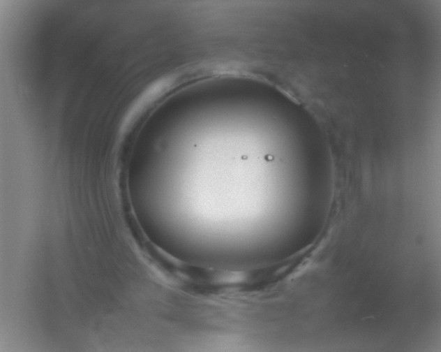 X0000054430197200508121827