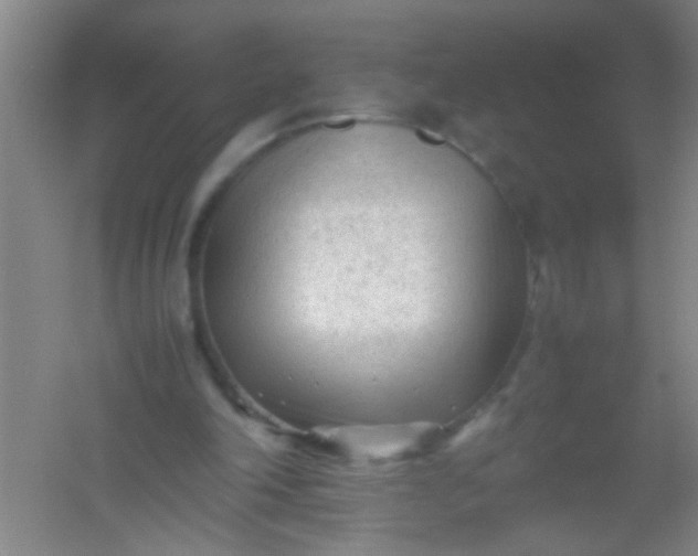 X0000054430198200508121827