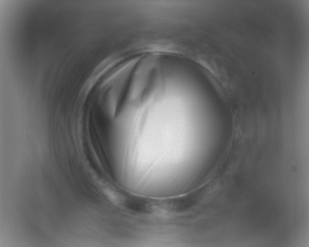 X0000054430199200508121827