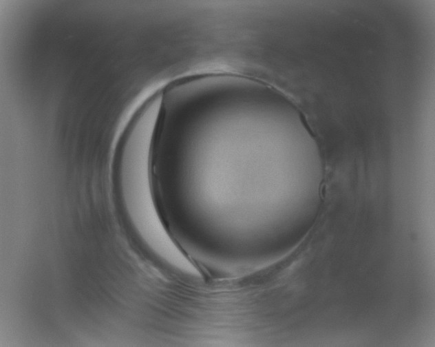 X0000054430200200508121827