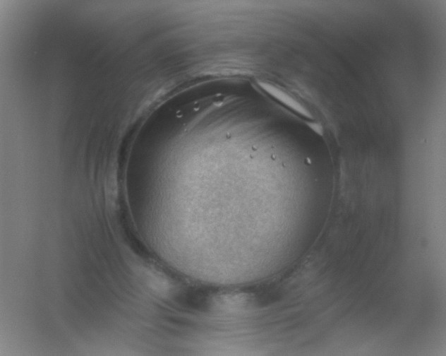 X0000054430202200508121827