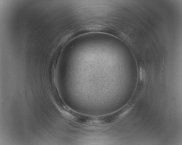 X0000054430205200508121827