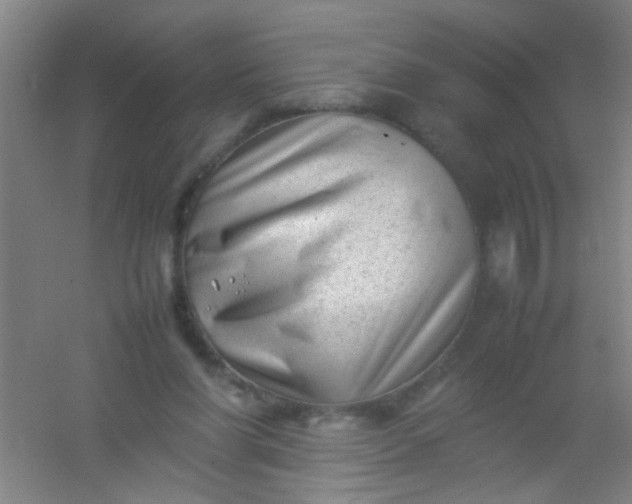 X0000054430206200508121827