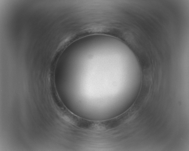 X0000054430207200508121827