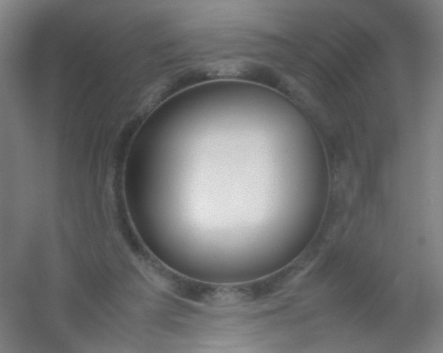 X0000054430209200508121827