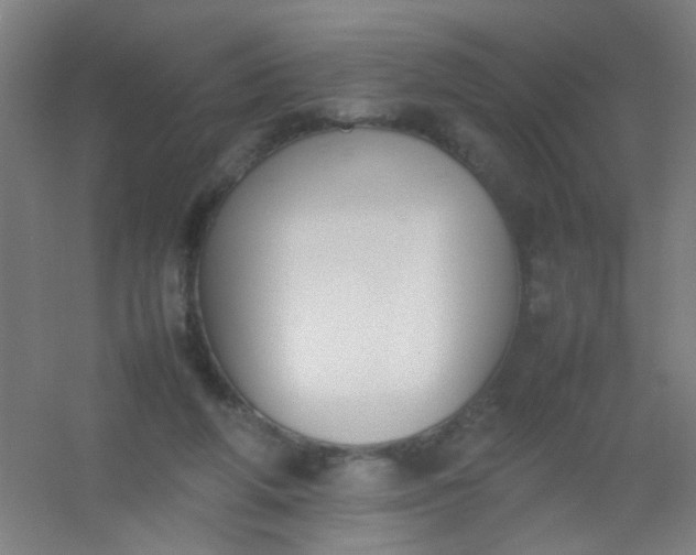 X0000054430210200508121827