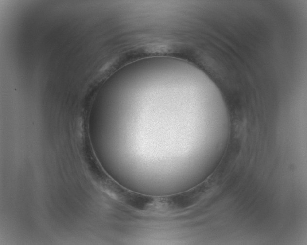 X0000054430211200508121827