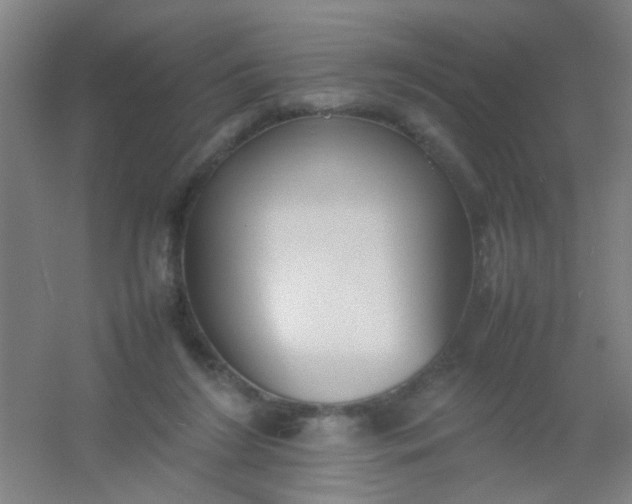 X0000054430212200508121827