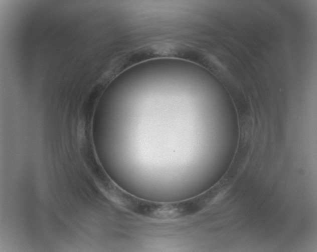 X0000054430213200508121827