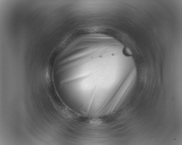 X0000054430214200508121827