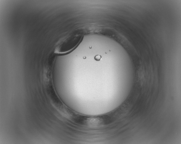 X0000054430218200508121827