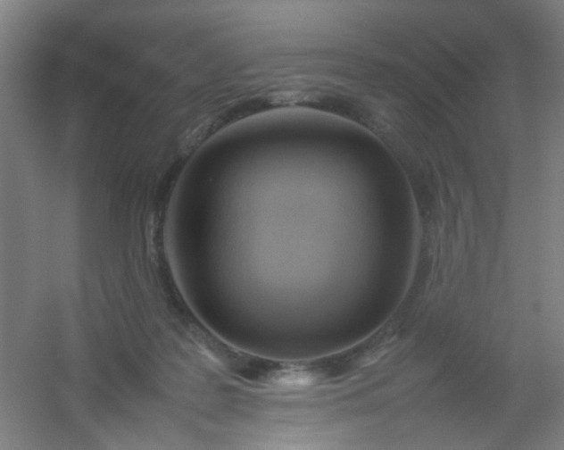 X0000054430219200508121827