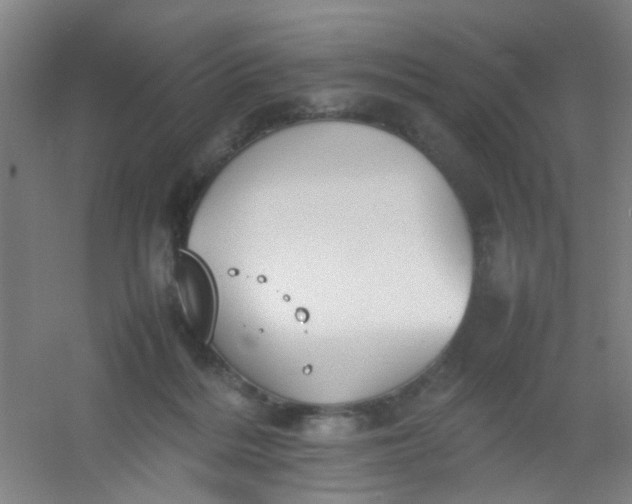 X0000054430220200508121827