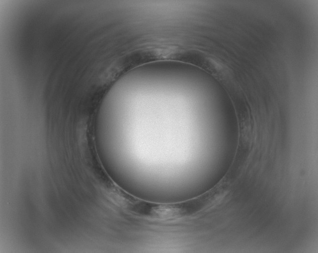 X0000054430221200508121827