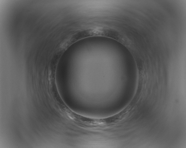 X0000054430223200508121827