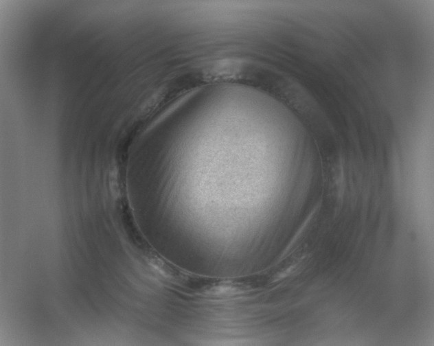 X0000054430224200508121827