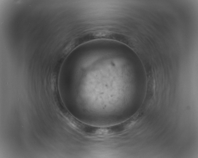 X0000054430227200508121827