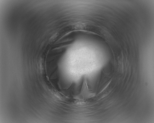 X0000054430228200508121827