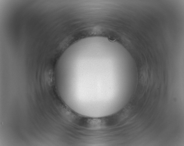 X0000054430230200508121827