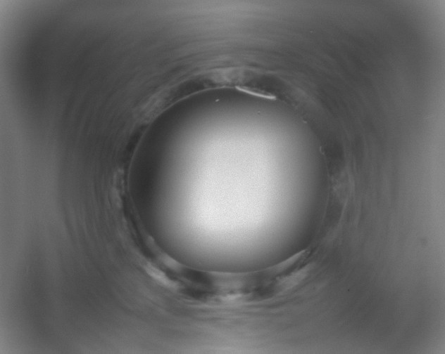 X0000054430233200508121827