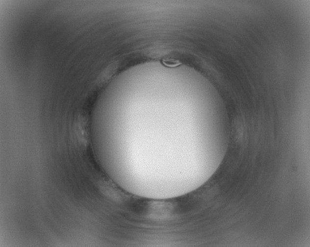 X0000054430234200508121827