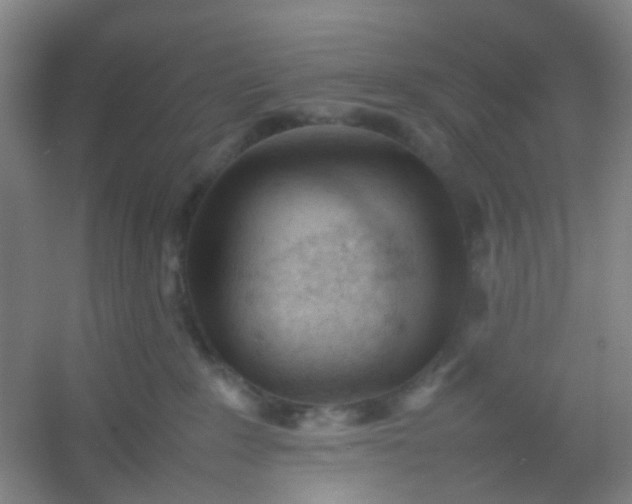 X0000054430235200508121827