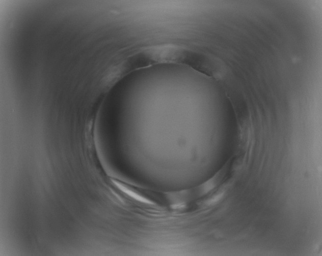 X0000054430239200508121826