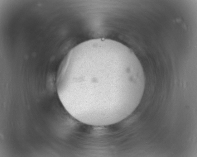 X0000054430240200508121826