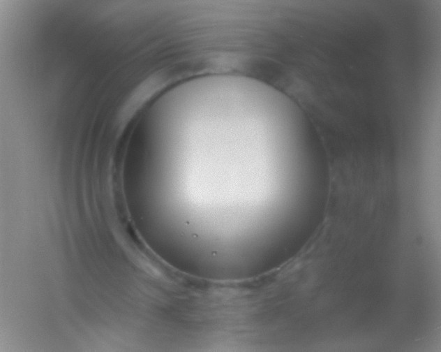 X0000054430242200508121826