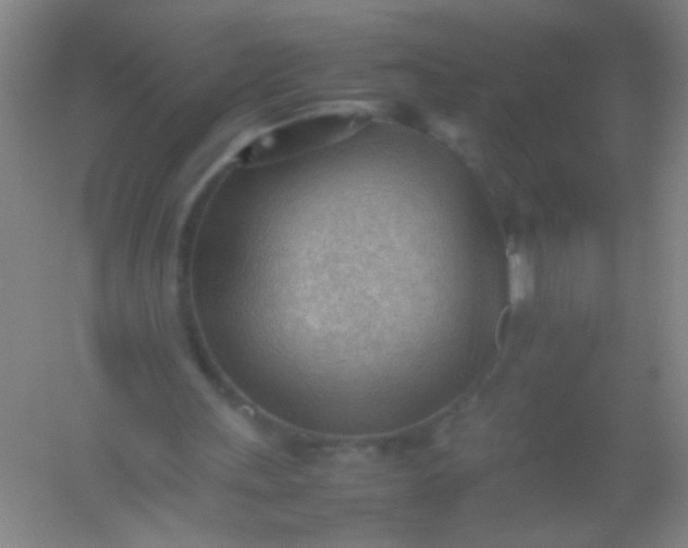 X0000054430243200508121826