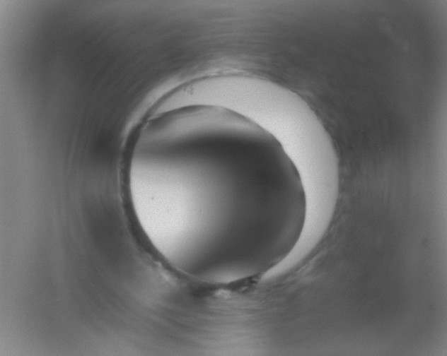 X0000054430244200508121826