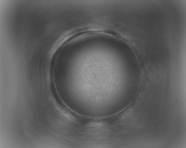 X0000054430247200508121826