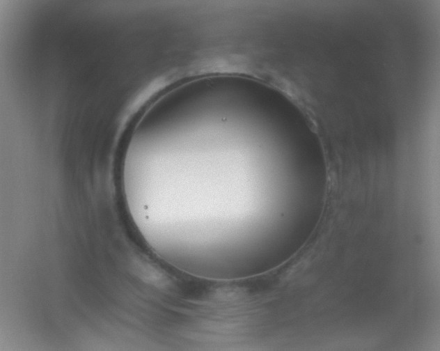 X0000054430248200508121826