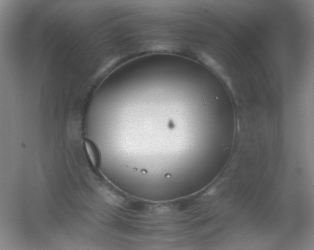 X0000054430249200508121826