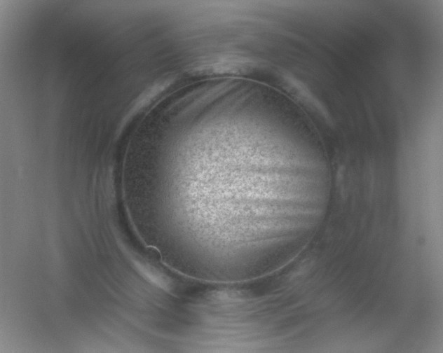 X0000054430250200508121826